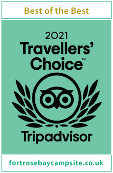 tripadvisor certificate