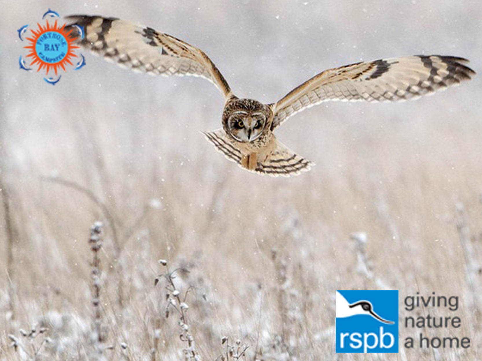 rspb logo